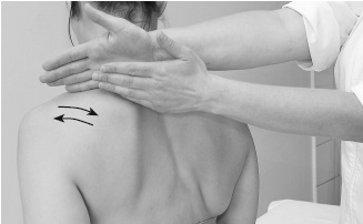 Иллюстрация к книге — Атлас профессионального массажа [i_127.jpg]