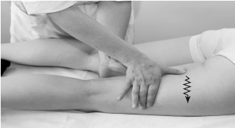 Иллюстрация к книге — Атлас профессионального массажа [i_140.jpg]