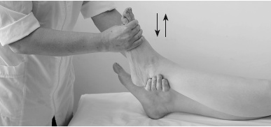 Иллюстрация к книге — Атлас профессионального массажа [i_142.jpg]