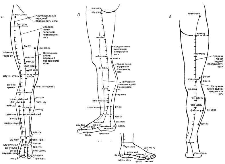 Иллюстрация к книге — Атлас профессионального массажа [i_170.jpg]