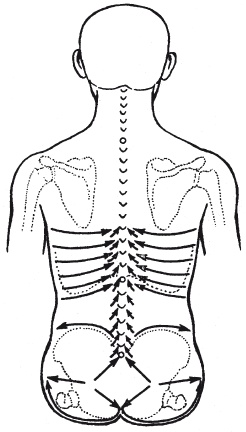 Иллюстрация к книге — Атлас профессионального массажа [i_201.jpg]