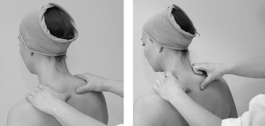 Иллюстрация к книге — Атлас профессионального массажа [i_212.jpg]