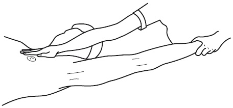 Иллюстрация к книге — Атлас профессионального массажа [i_265.jpg]