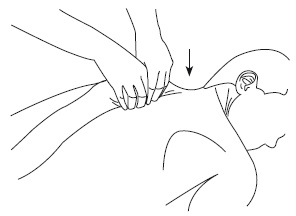 Иллюстрация к книге — Атлас профессионального массажа [i_267.jpg]