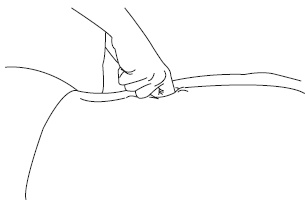 Иллюстрация к книге — Атлас профессионального массажа [i_269.jpg]