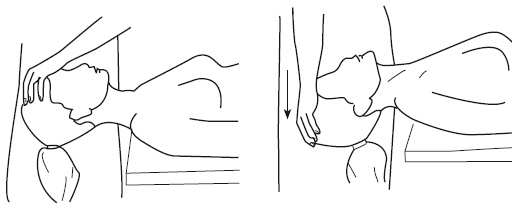 Иллюстрация к книге — Атлас профессионального массажа [i_271.jpg]