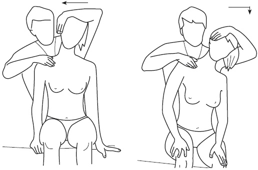 Иллюстрация к книге — Атлас профессионального массажа [i_272.jpg]