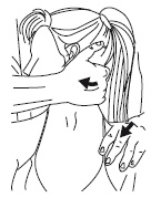 Иллюстрация к книге — Атлас профессионального массажа [i_273.jpg]