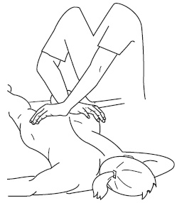 Иллюстрация к книге — Атлас профессионального массажа [i_279.jpg]