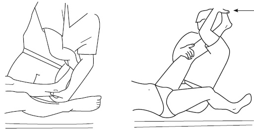 Иллюстрация к книге — Атлас профессионального массажа [i_282.jpg]