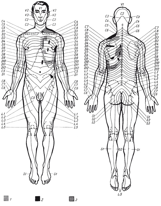 Иллюстрация к книге — Атлас профессионального массажа [i_283.jpg]