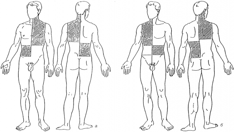 Иллюстрация к книге — Атлас профессионального массажа [i_289.jpg]