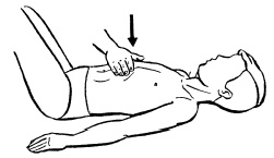 Иллюстрация к книге — Атлас профессионального массажа [i_290.jpg]