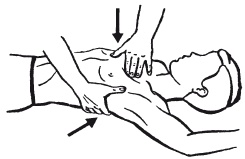 Иллюстрация к книге — Атлас профессионального массажа [i_294.jpg]