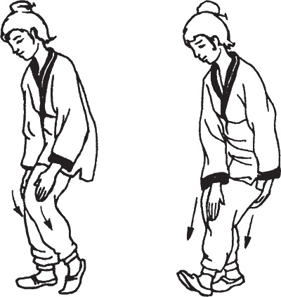 Иллюстрация к книге — Цигун. Советы на каждый день для всей семьи [i_004.jpg]