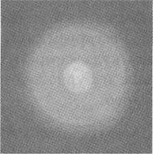 Иллюстрация к книге — Огненный цветок. Методика ДФС [i_001.jpg]