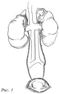 Иллюстрация к книге — Болезни почек. Самые эффективные методы лечения [i_001.jpg]