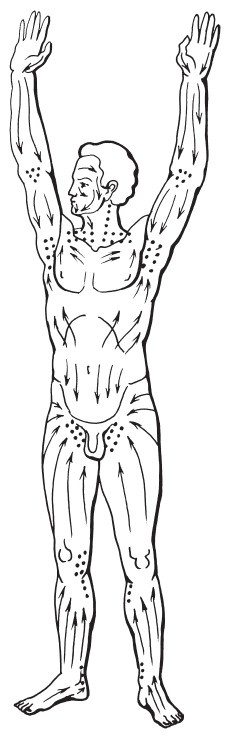 Иллюстрация к книге — Массаж для красоты и здоровья. Медовый, глиняный, ароматический, баночный [i_001.jpg]