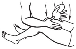 Иллюстрация к книге — Массаж для красоты и здоровья. Медовый, глиняный, ароматический, баночный [i_006.jpg]