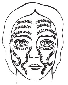 Иллюстрация к книге — Массаж для красоты и здоровья. Медовый, глиняный, ароматический, баночный [i_007.jpg]