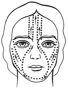 Иллюстрация к книге — Массаж для красоты и здоровья. Медовый, глиняный, ароматический, баночный [i_008.jpg]