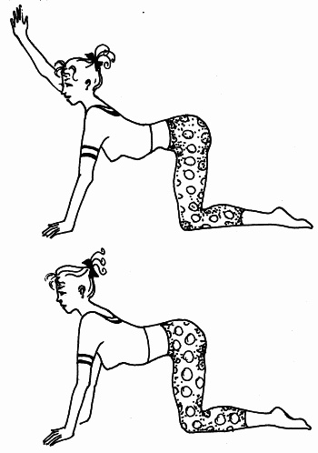 Иллюстрация к книге — Как дожить до 120 лет по системе Поля Брэгга [i_019.jpg]