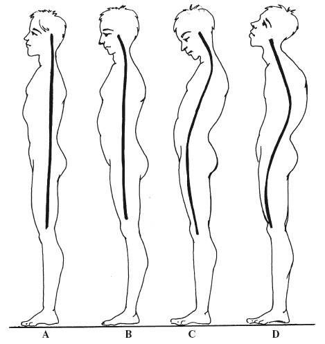 Иллюстрация к книге — Позвоночник - ключ к здоровью [Autogen_eBook_id16.jpg]