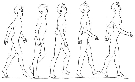 Иллюстрация к книге — Позвоночник - ключ к здоровью [Autogen_eBook_id17.jpg]