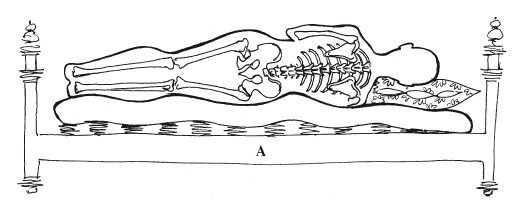 Иллюстрация к книге — Позвоночник - ключ к здоровью [Autogen_eBook_id19.jpg]