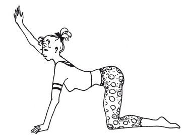 Иллюстрация к книге — Позвоночник - ключ к здоровью [Autogen_eBook_id26.jpg]