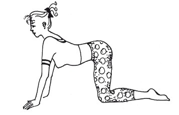 Иллюстрация к книге — Позвоночник - ключ к здоровью [Autogen_eBook_id27.jpg]