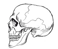 Иллюстрация к книге — Позвоночник - ключ к здоровью [Autogen_eBook_id8.jpg]