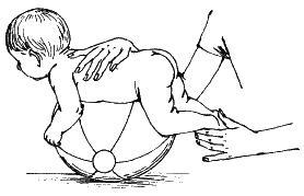 Иллюстрация к книге — Детский массаж. Поэтапное руководство [i_016.jpg]