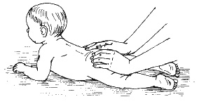 Иллюстрация к книге — Детский массаж. Поэтапное руководство [i_019.jpg]