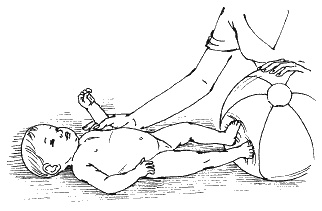 Иллюстрация к книге — Детский массаж. Поэтапное руководство [i_066.jpg]