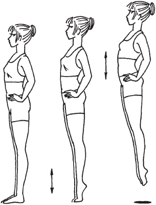 Иллюстрация к книге — Антицеллюлитная гимнастика. Ровная гладкая кожа за 1 месяц [_10.jpg]