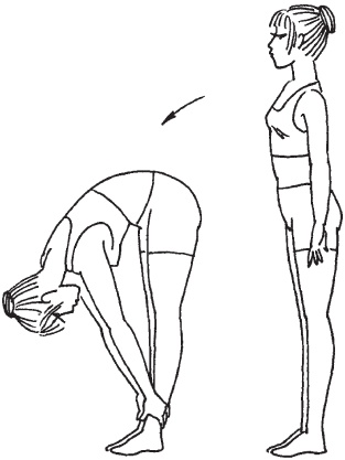 Иллюстрация к книге — Антицеллюлитная гимнастика. Ровная гладкая кожа за 1 месяц [_18.jpg]