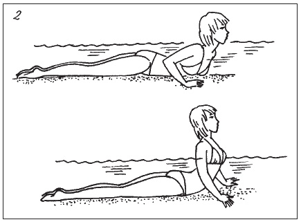 Иллюстрация к книге — Невидимая гимнастика для тех, кто следит за своей фигурой. Гимнастика в офисе, лифте, на пляже, по дороге на работу [i_058.jpg]