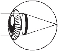 Иллюстрация к книге — Сними очки за 10 занятий [_02.jpg]