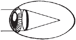 Иллюстрация к книге — Сними очки за 10 занятий [_04.jpg]
