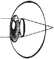 Иллюстрация к книге — Сними очки за 10 занятий [_05.jpg]