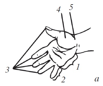 Иллюстрация к книге — Энциклопедия массажа [i_001.jpg]