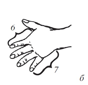 Иллюстрация к книге — Энциклопедия массажа [i_002.jpg]