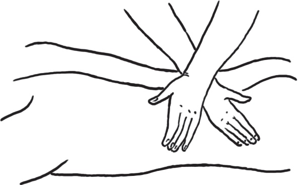 Иллюстрация к книге — Энциклопедия массажа [i_003.jpg]