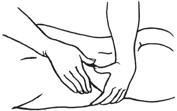 Иллюстрация к книге — Энциклопедия массажа [i_012.jpg]