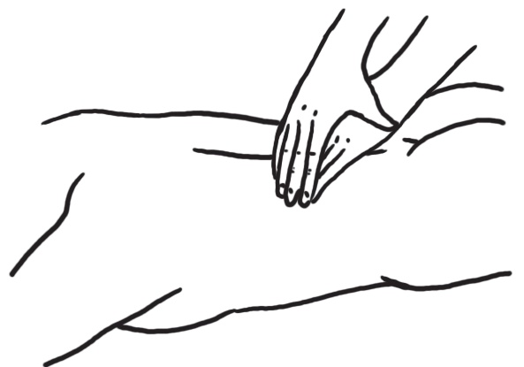 Иллюстрация к книге — Энциклопедия массажа [i_018.jpg]