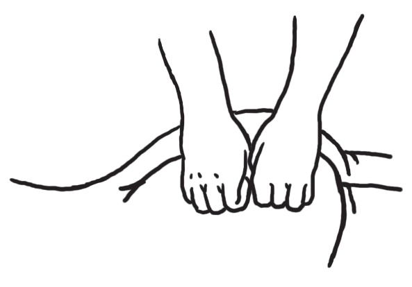 Иллюстрация к книге — Энциклопедия массажа [i_020.jpg]