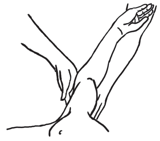 Иллюстрация к книге — Энциклопедия массажа [i_022.jpg]