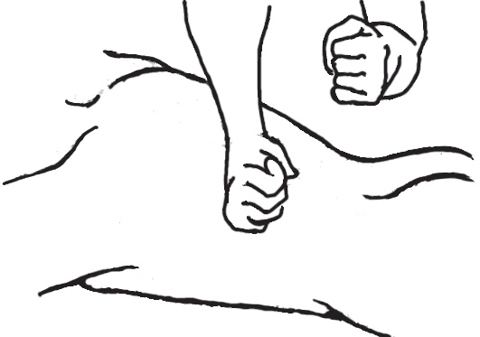 Иллюстрация к книге — Энциклопедия массажа [i_024.jpg]