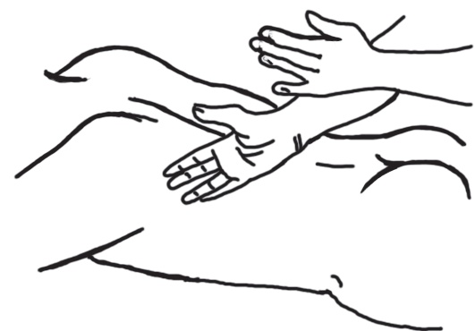 Иллюстрация к книге — Энциклопедия массажа [i_026.jpg]